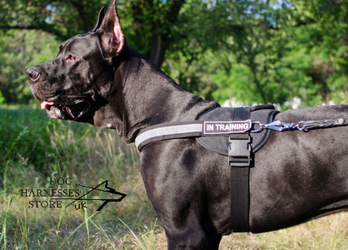 Reflective Dog Harness for Great Dane, Nylon with ID Patches